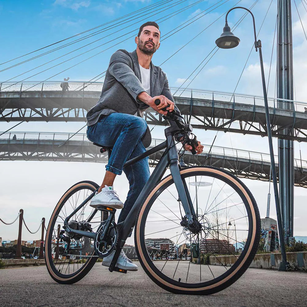 Fiido C21 - Elektrische Stadsfiets - Grijs - 28 inch - XL (190cm - 205cm) - Accu 209Wh (36V) - 250W (40Nm) Mivice Motor - 9 Versnellingen - Hydraulische Remmen - AE-trading