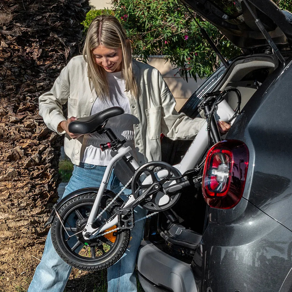 Fiido D3 Pro - Elektrische Vouwfiets - Zwart - 14 inch - Accu 281Wh (36V) - 250W (35Nm) Motor - AE-trading