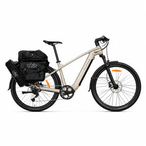 Fiido Nomads Elektrische Fiets - Lichtgrijs - 3 Accu's + Accessoires - Framemaat M - AE-trading