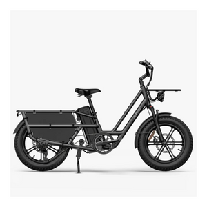 Fiido T2 2025 - Elektrische Longtail Bakfiets - Grijs - 20x4 inch - Accu 998.4Wh (48V) - 250 W (55Nm) Mivice Motor - Shimano 7 Versnellingen - Hydraulische Remmen - AE-trading