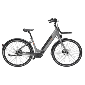 Freebike Flushing Elektrische Fiets - Antraciet - Dames 56cm - AE-trading