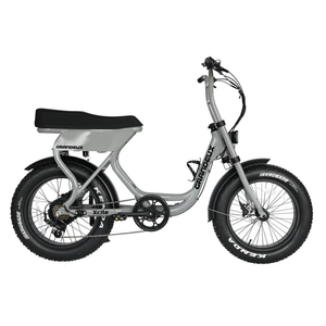 Grandeux Xcite Fatbike - grijs - AE-trading