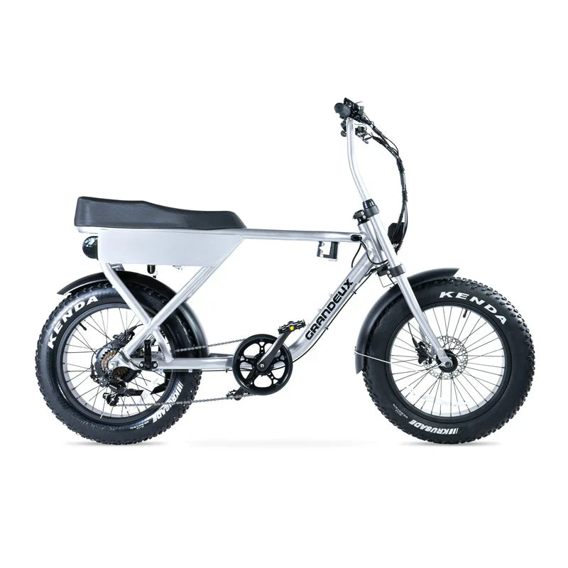Grandeux Xplore Fatbike - grey - AE-trading