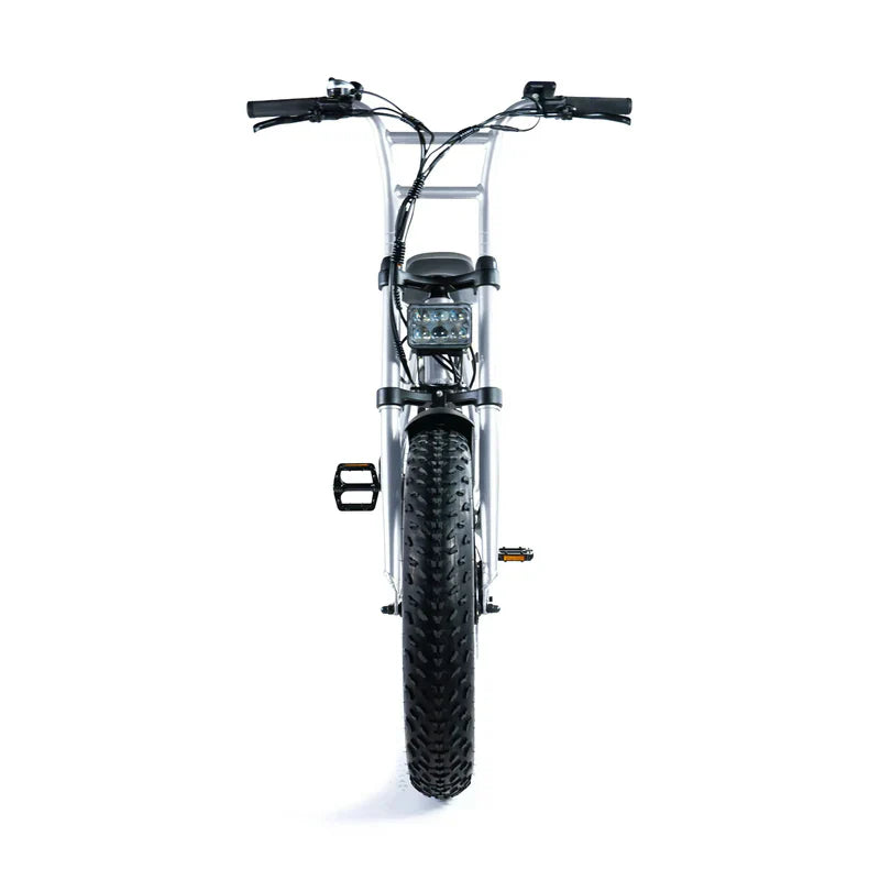 Grandeux Xplore Fatbike - grey - AE-trading