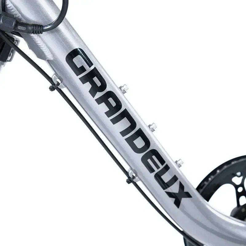Grandeux Xplore Fatbike - grey - AE-trading