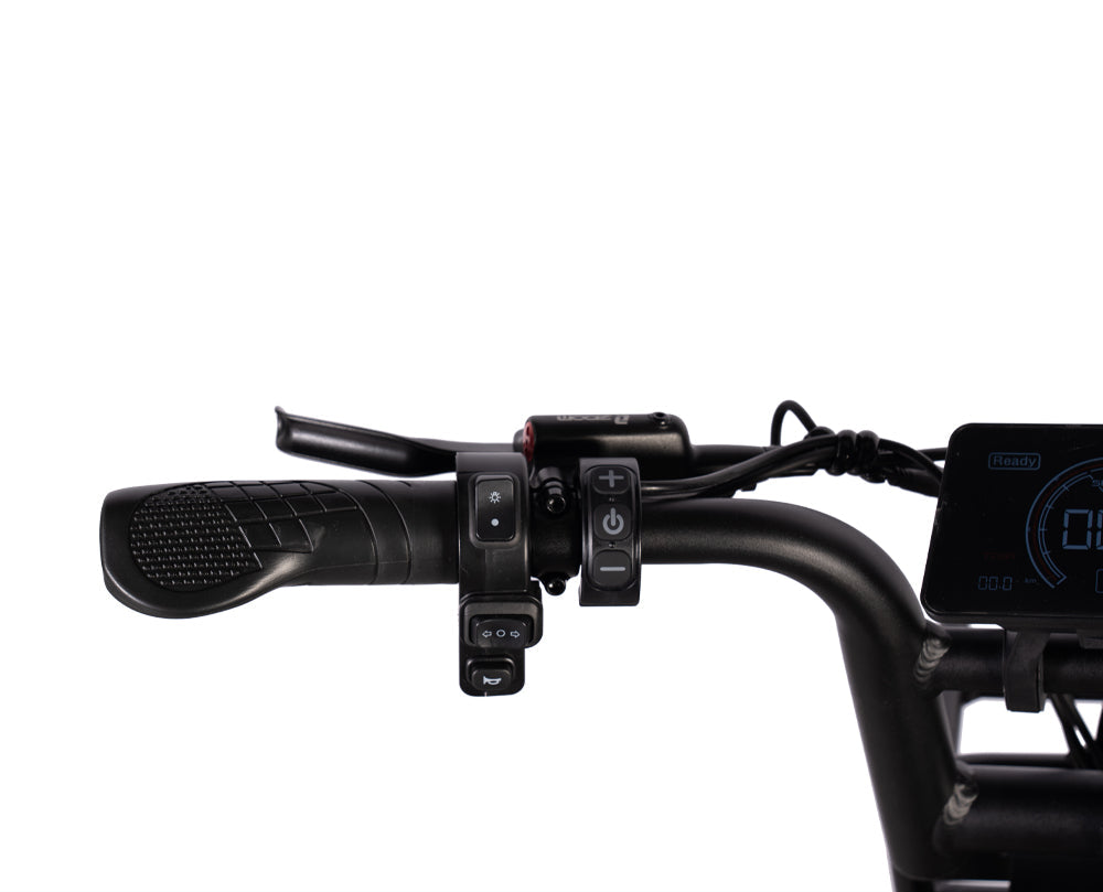 QmWheel S20 Pro – Fatbike – Zwart – Hydraulische Remmen