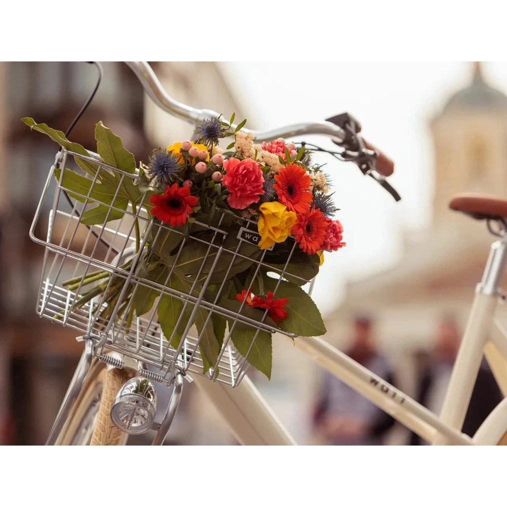 Mandje voor WATT Valencia - AE-trading