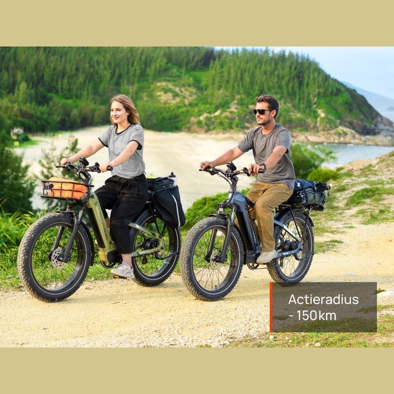 Mokwheel Basalt ST 2.0 – Steengrijs – Elektrische Fatbike – 26x4.0 banden – 940Wh accu – 250W motor – Hydraulische schijfremmen - AE-trading