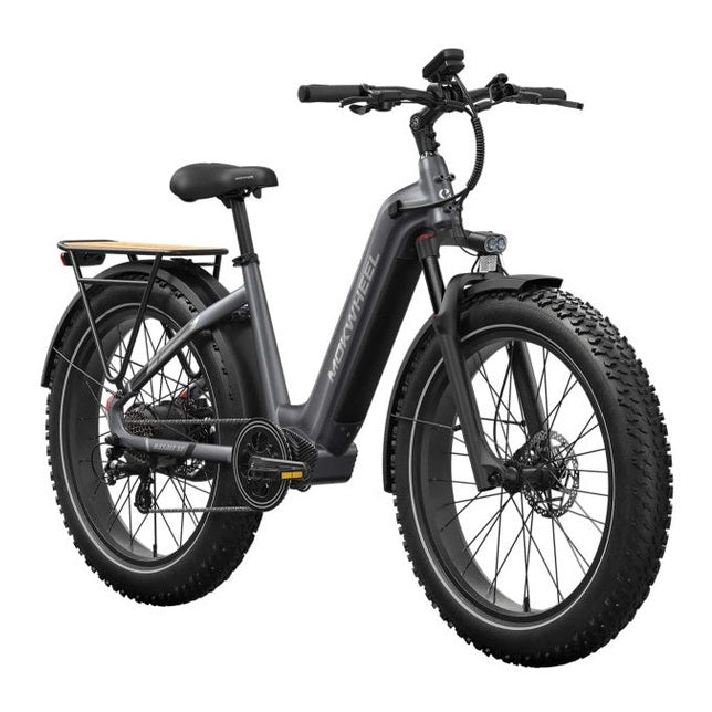 Mokwheel Basalt ST 2.0 – Steengrijs – Elektrische Fatbike – 26x4.0 banden – 940Wh accu – 250W motor – Hydraulische schijfremmen - AE-trading