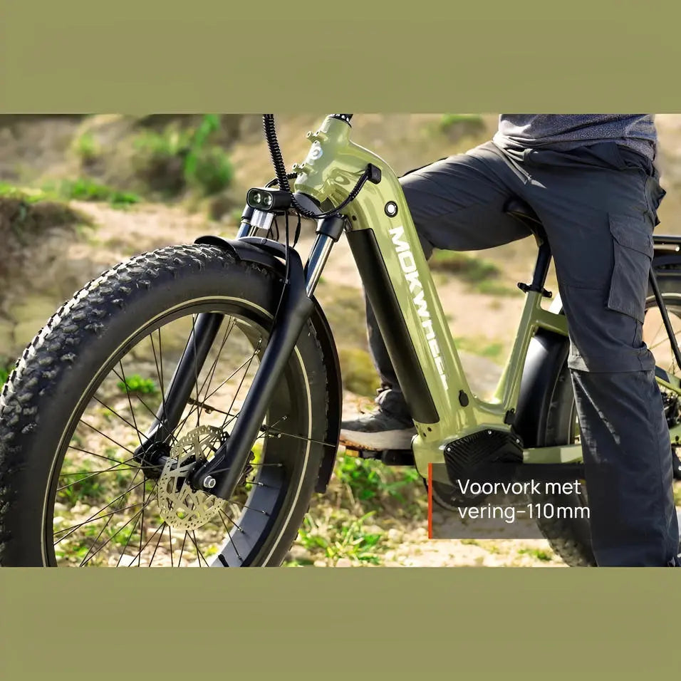 Mokwheel Basalt ST 2.0 Fatbike – Steengrijs - AE-trading