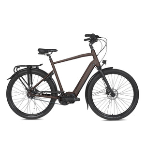 Musa S Men Dark Oak - AE-trading