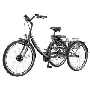 Pfautec Lano FM – Grafiet Metallic – Elektrische Driewieler - AE-trading