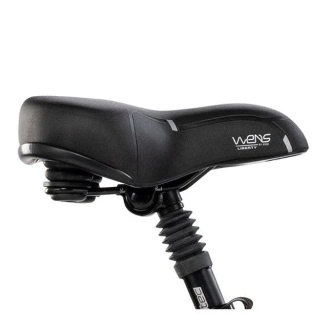 Van Rixtel S3 – Grijs – Elektrische Fiets – 324Wh accu – Extra lage instap 28cm – Voorwielmotor – Shimano Nexus 7 - AE-trading