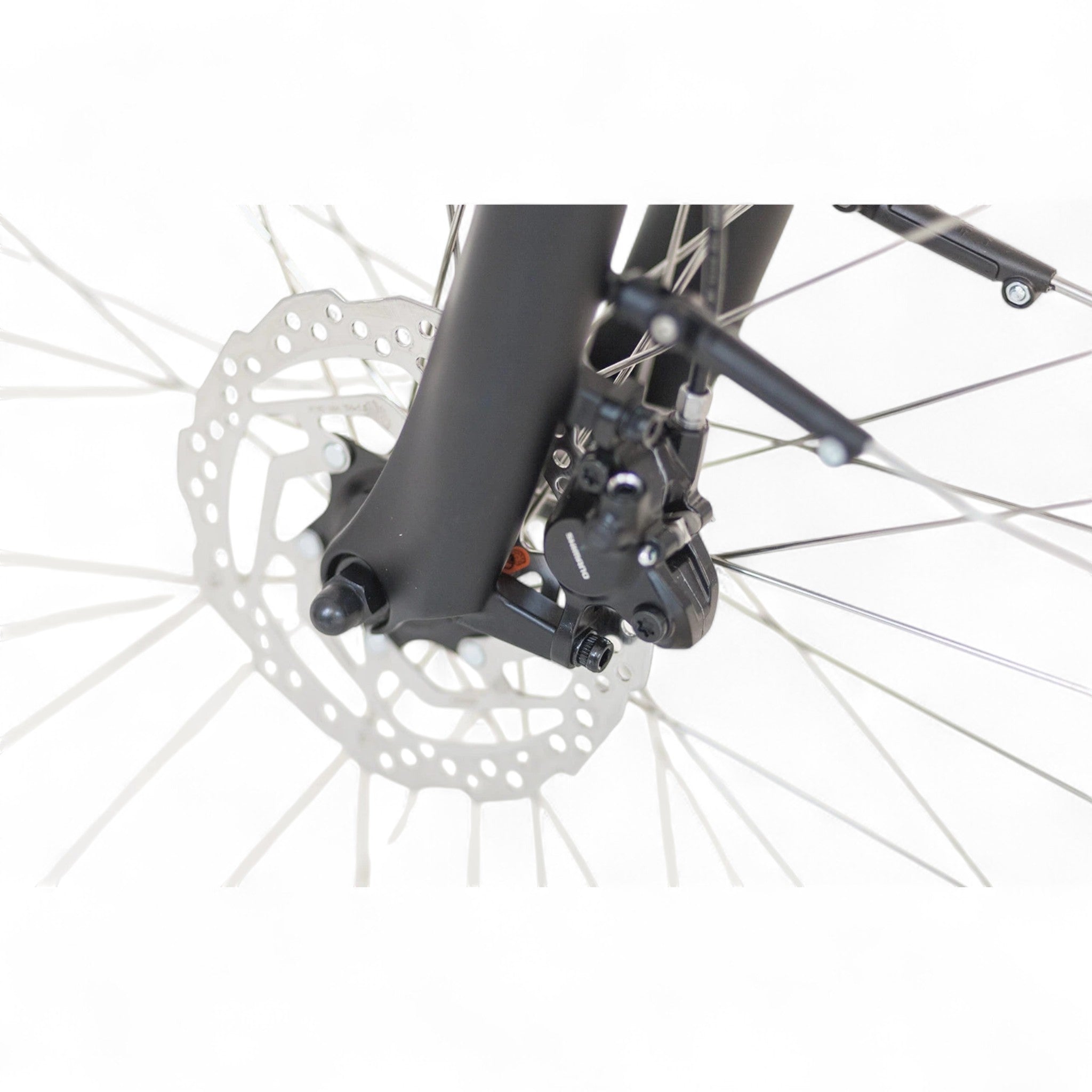 Puch E-Zirkon Enviolo Belt Elektrische Fiets - 54 cm - Damesfiets - Zijden Grijs - E-bike - AE-trading