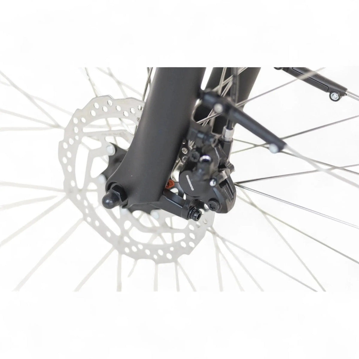 Puch E-Zirkon Enviolo Belt Elektrische Fiets - 54 cm - Damesfiets - Zijden Grijs - E-bike - AE-trading