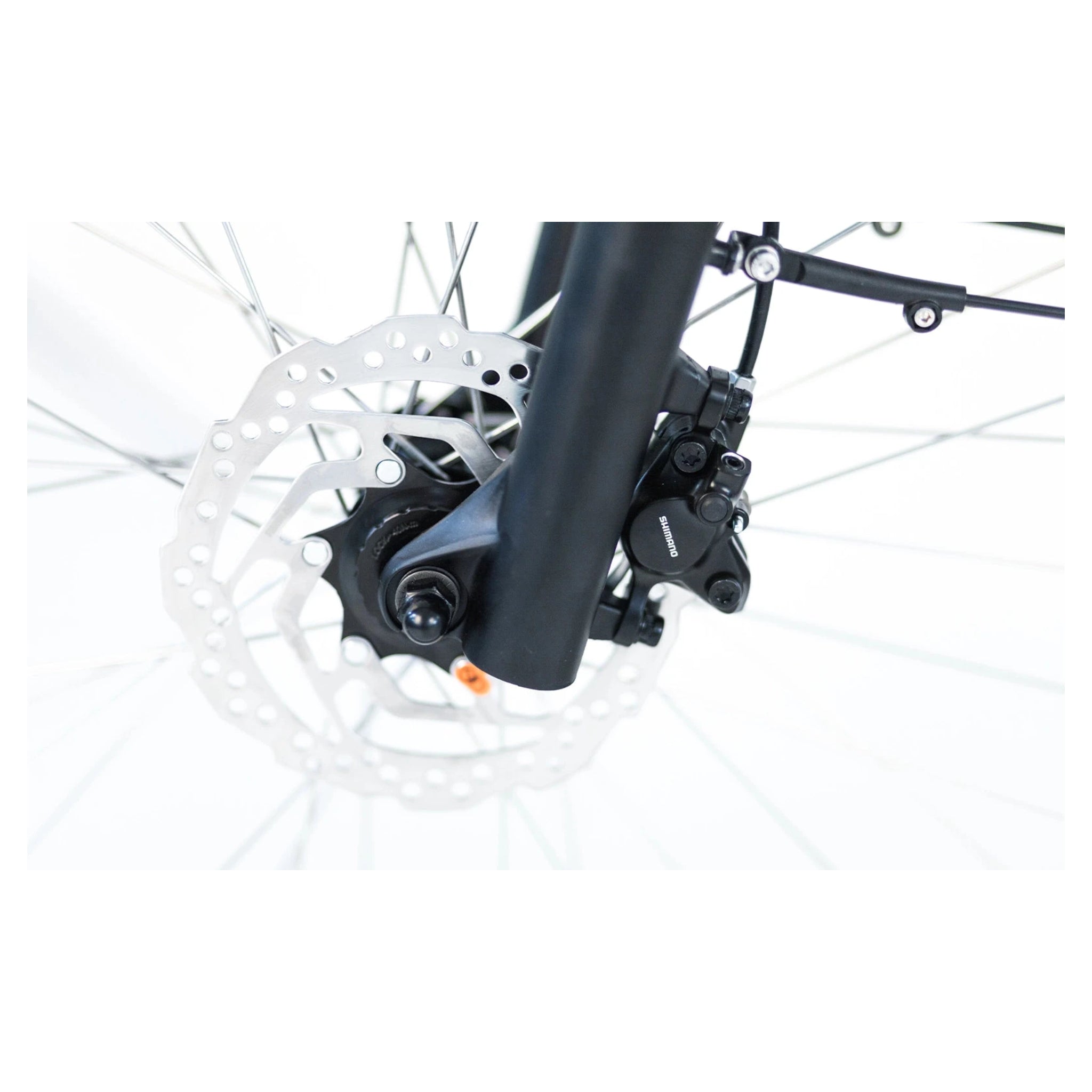 Puch E-Zirkon Enviolo Belt SUV Elektrische Fiets - 54 cm - Damesfiets - Basalt Grijs - E-bike - AE-trading