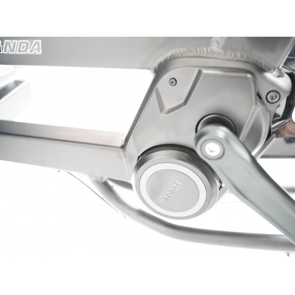 Qivelo Ananda Twowheel 48V – Mat Zwart/Bruin – Elektrische Bakfiets – 614Wh - AE-trading