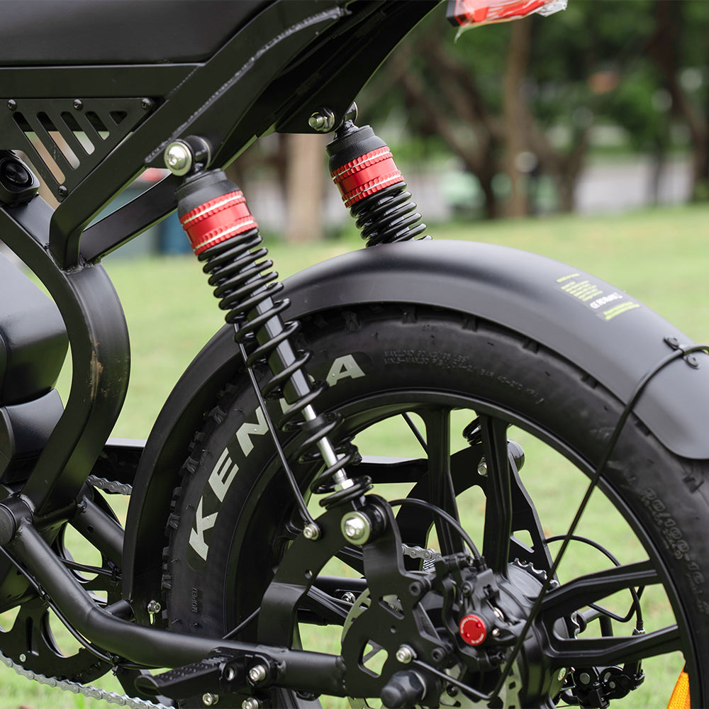 QmWheel S20 Pro – Fatbike – Zwart – Hydraulische Remmen - AE-trading