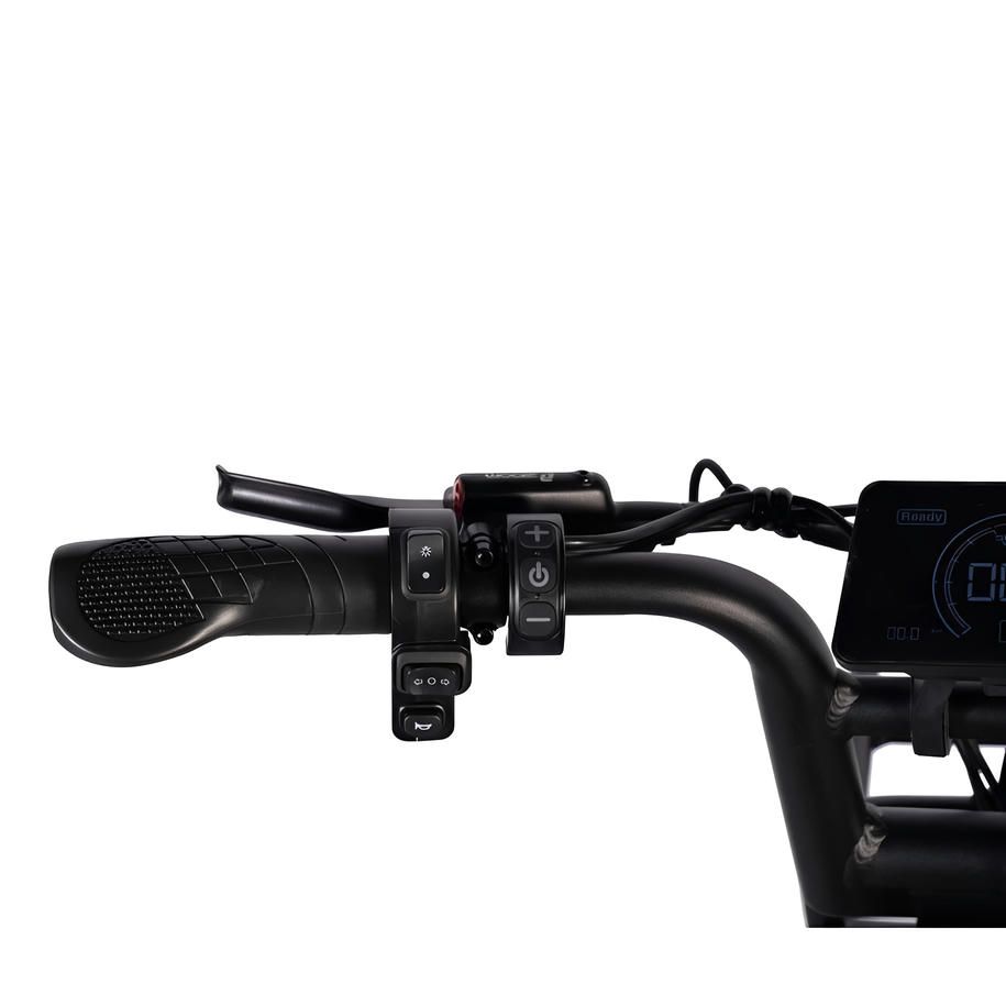 QmWheel S20 Pro – Fatbike – Zwart – Hydraulische Remmen - AE-trading