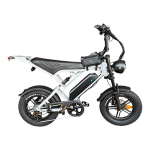 QmWheel V20 Mini Fatbike Grijs Nardo - AE-trading