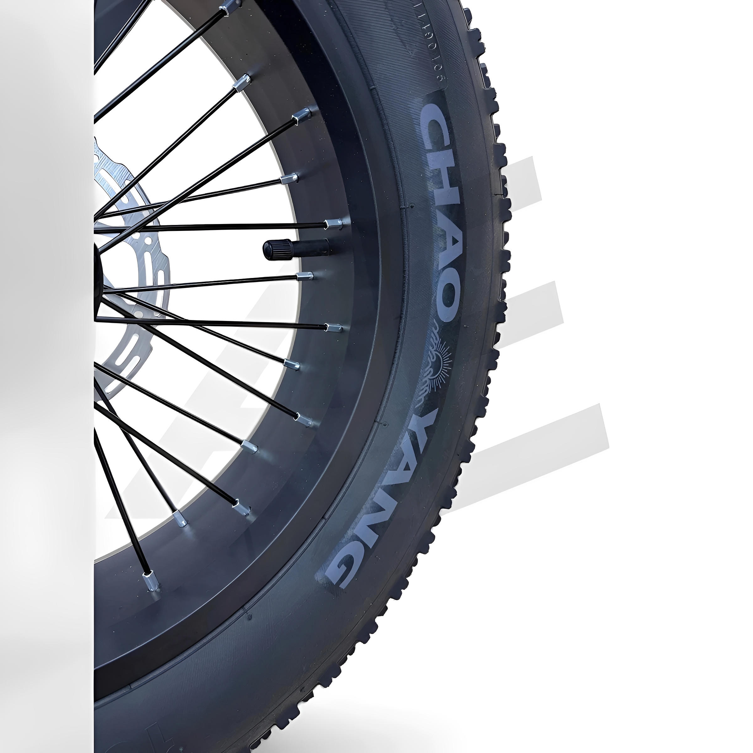 QmWheel V20 Mini Fatbike Kinderfatbike met Hydraulische Remmen - Zwart - AE-trading