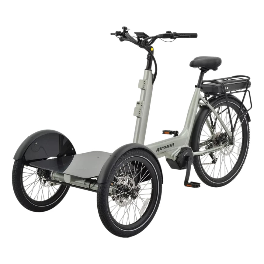 REVOM Mover T5 Elektrische Driewieler Fiets Met Passagierszit - AE-trading