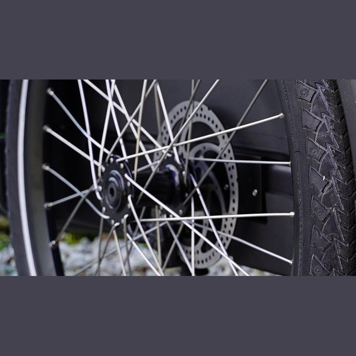 Royal Cargo Bike 3W Premium – Taupe – Elektrische Bakfiets – 504Wh - AE-trading