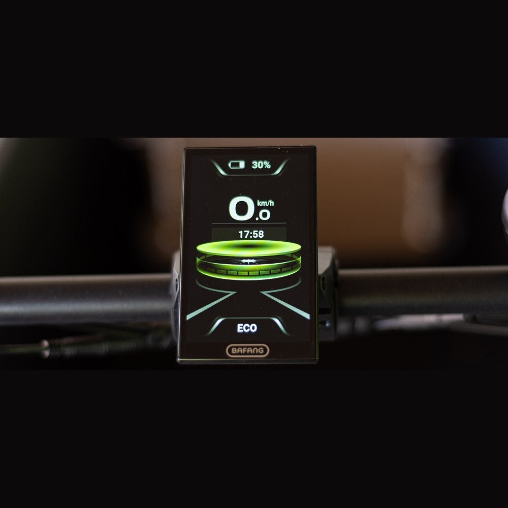 Royal Cargo Bike 3W Premium – Taupe – Elektrische Bakfiets – 504Wh - AE-trading