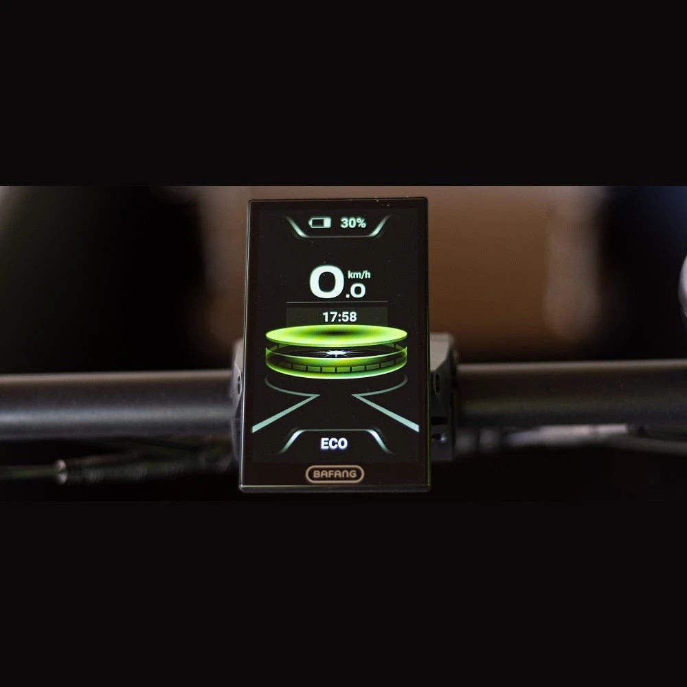 Royal Cargo Bike 3W Premium – Taupe – Elektrische Bakfiets – 630Wh - AE-trading