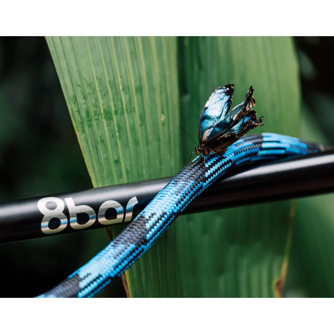 Texlock Eyelet – Blauw/Zwart – M (120cm) – U/X-lock - AE-trading