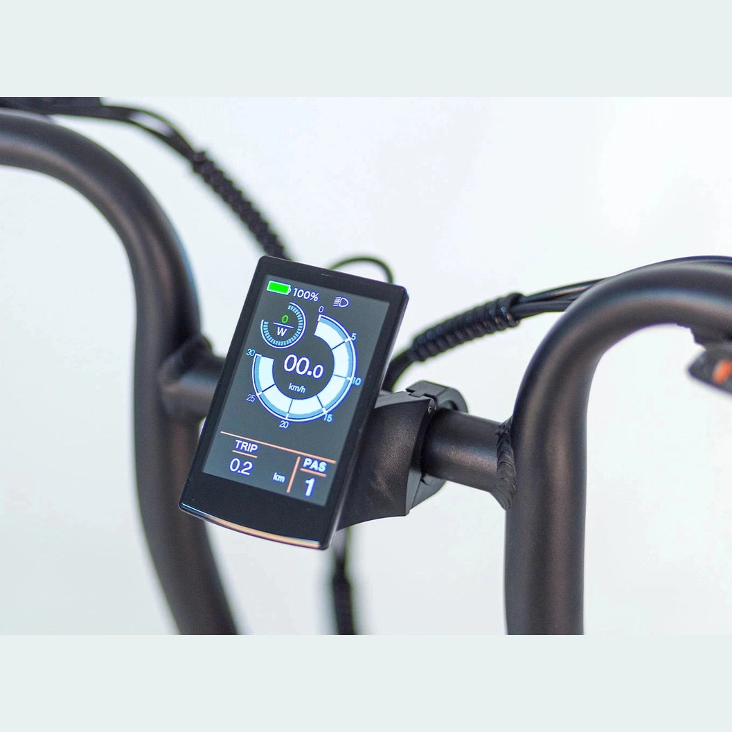 Tomos Flexer Fatbike - Lage Instap - Desert Strom