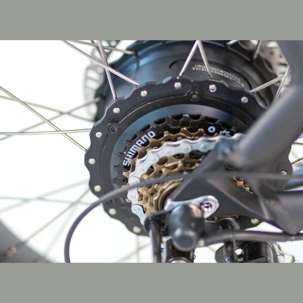 Tomos Flexer Fatbike – Mat Zwart – Lage Instap - AE-trading