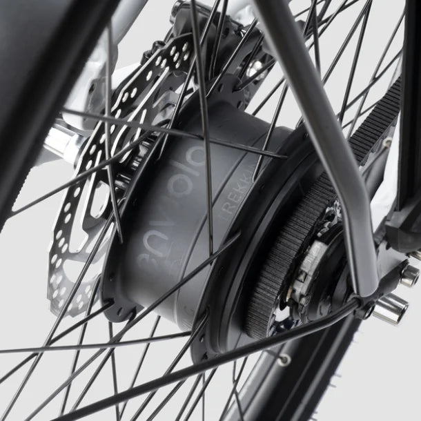 Trenergy Performance 2.3 Enviolo - Artic Grey - Dames 54cm - 720Wh Accu - AE-trading