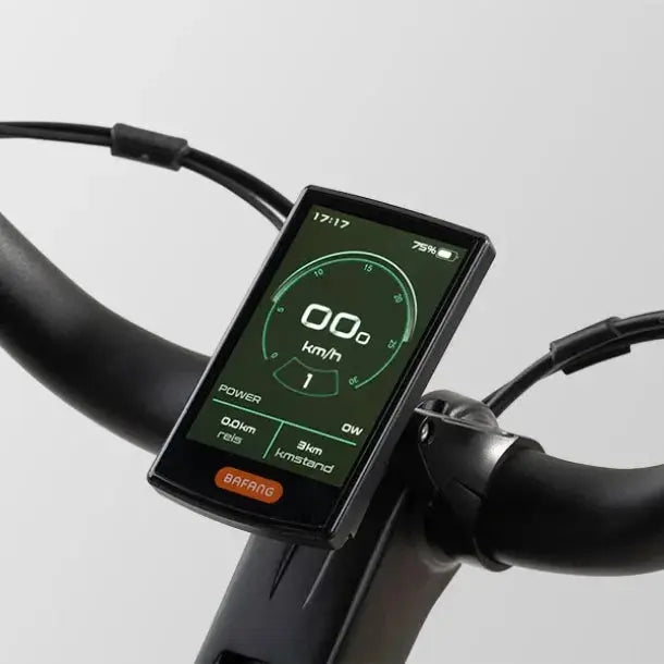 Trenergy Performance Belt N8 Elektrische Fiets - Black - Heren 53cm - 720Wh Accu - AE-trading