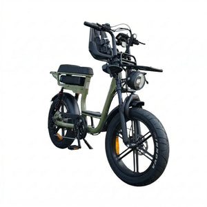 V20 Comfort Family - Groen - 2026 Model (Inclusief Voorzitje) - AE-trading