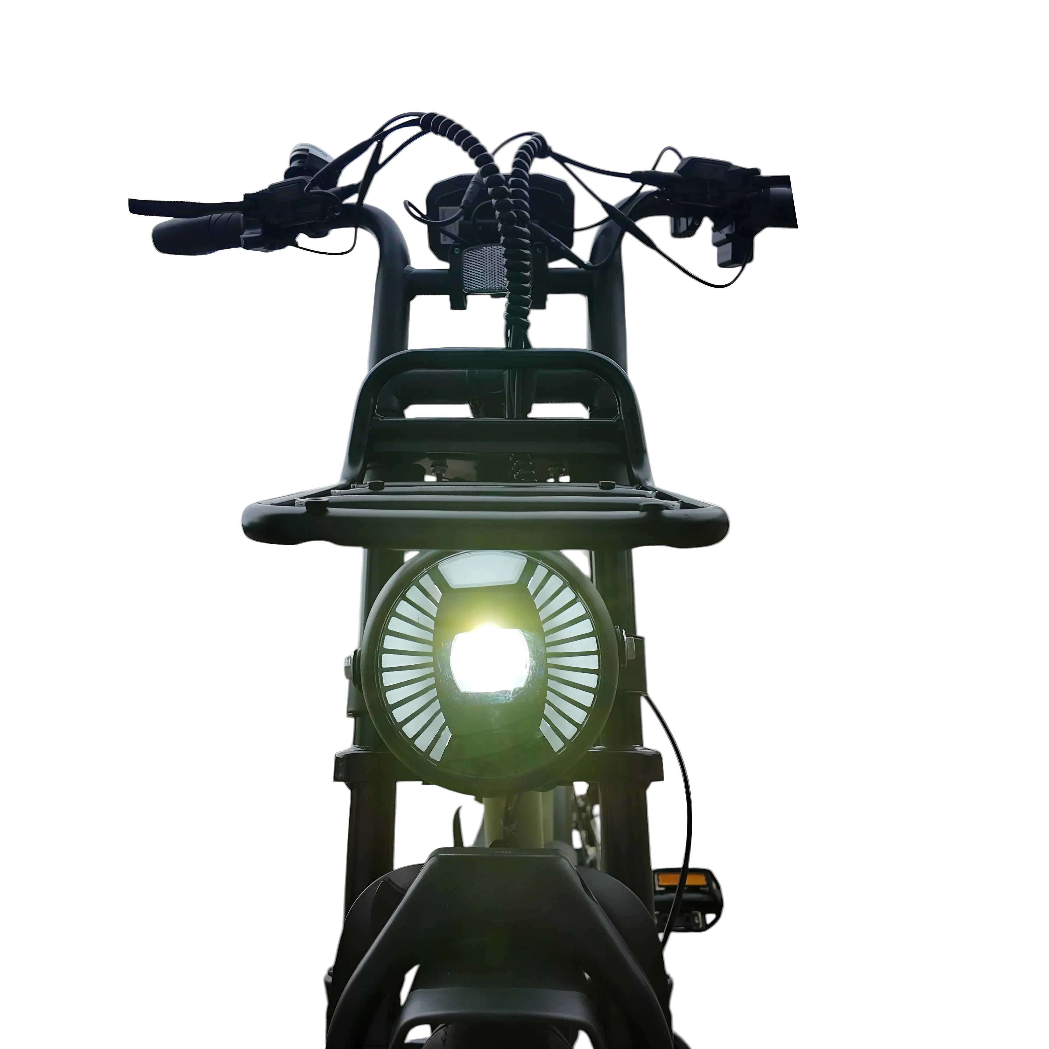 V20 Comfort Fatbike Groen 2026 - AE-trading