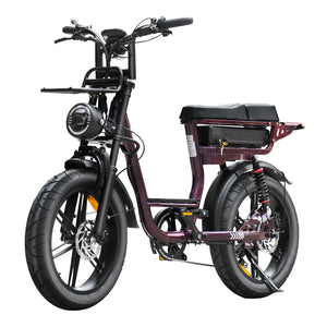 V20 Comfort Fatbike Paars 2026 - AE-trading