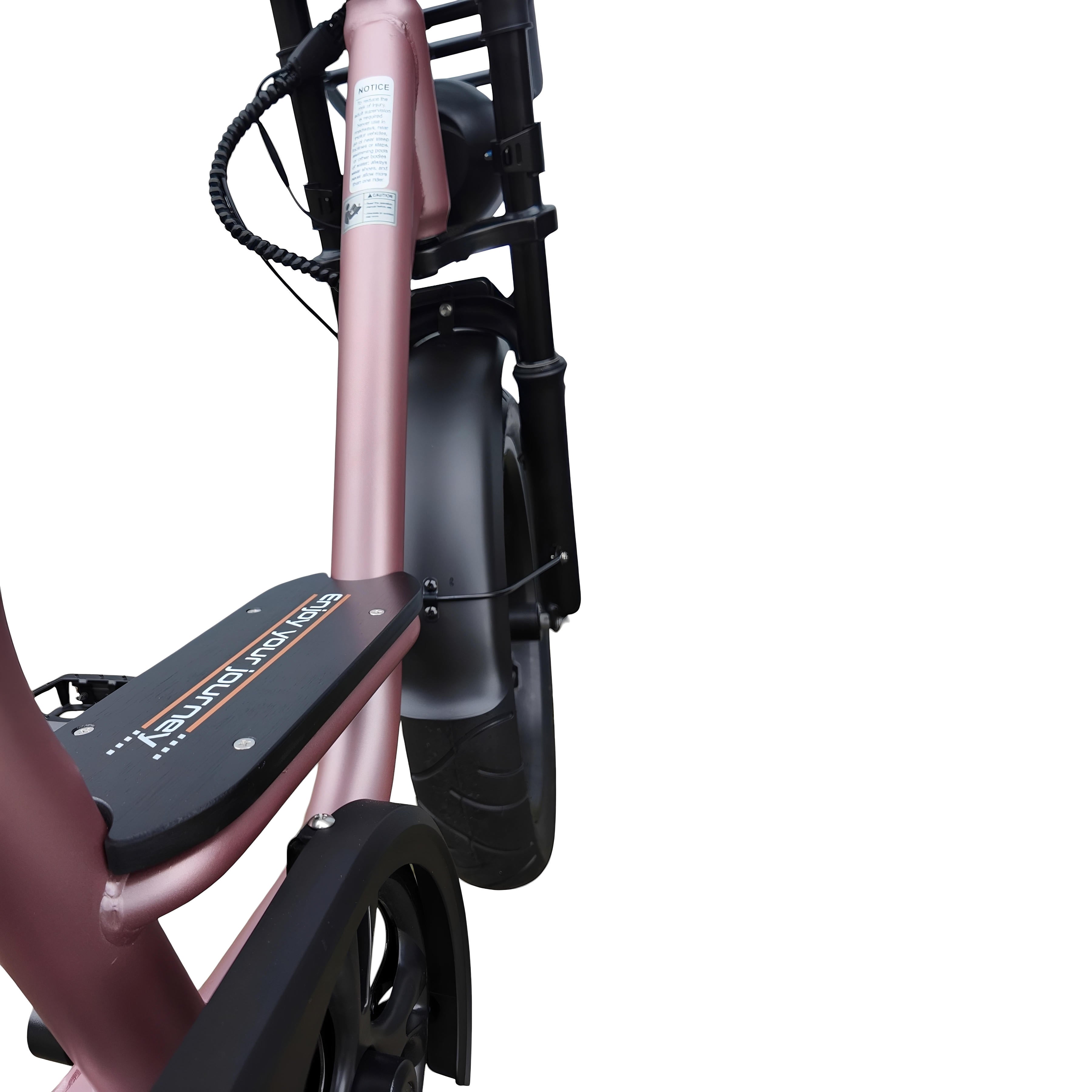 V20 Comfort Fatbike Rose Gold 2026 - AE-trading