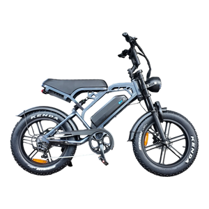 V20 Pro Fatbike Donkergrijs 2026 – Hydraulische Remmen - AE-trading