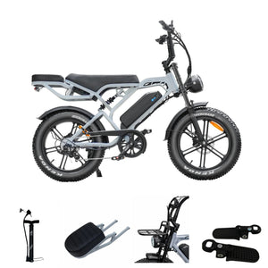 V20 Pro Fatbike Licht Grijs 2025 – Elektrische Fatbike – Hydraulische Remmen – Inclusief Accessoires - AE-trading