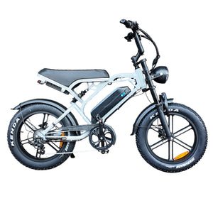 V20 Pro Fatbike Lichtgrijs 2026 – Hydraulische Remmen - AE-trading