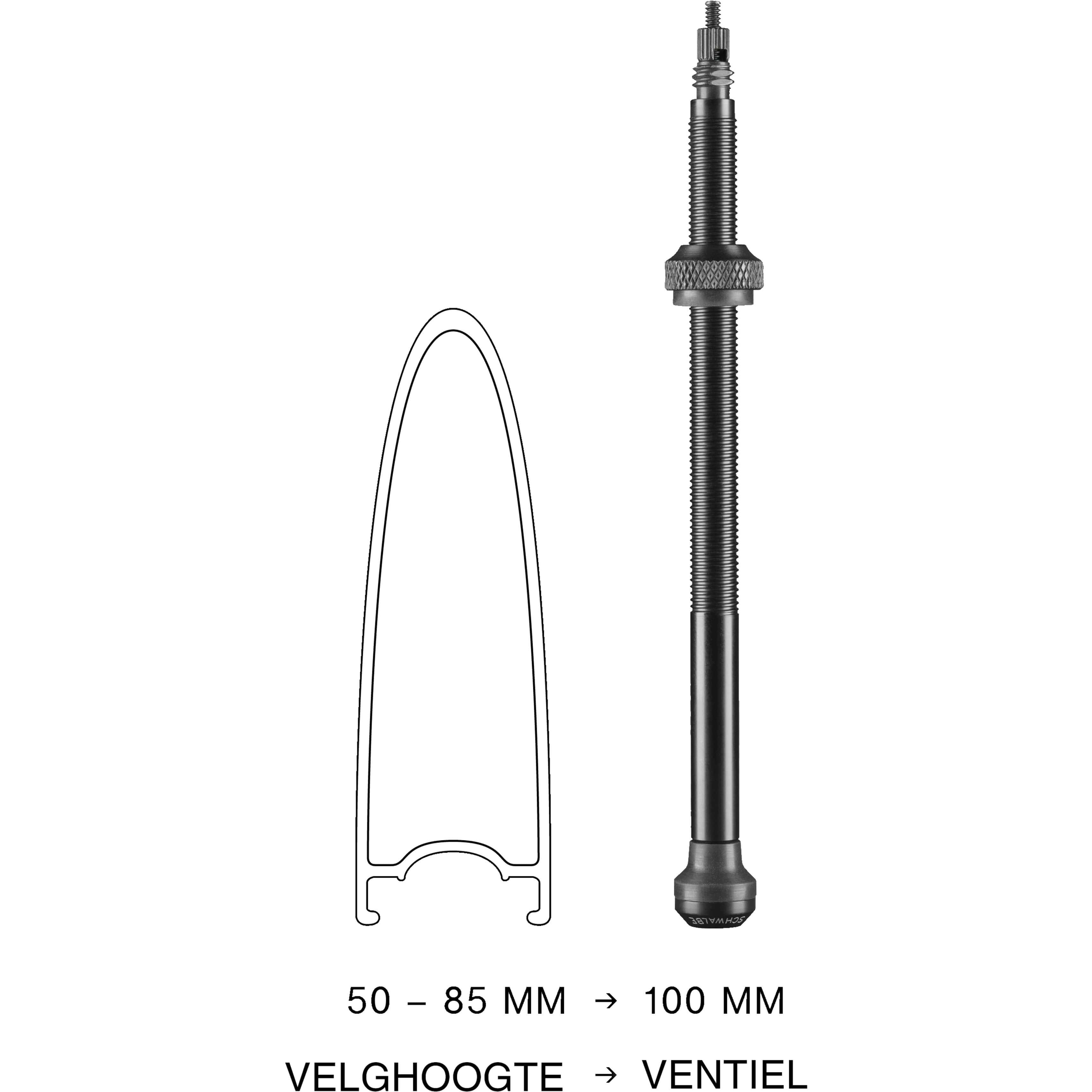 Schwalbe ventiel tubeless 100 mm set 2 stuks - AE-trading