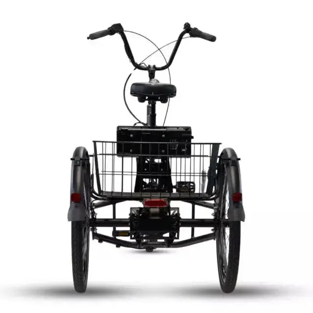 Van Rixtel EasyRide – Elektrische Driewieler – Blauwgrijs Mat – 324Wh - AE-trading