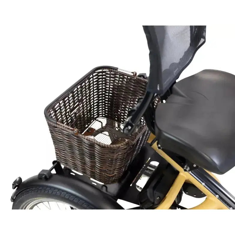 Van Rixtel Horizon – Mango – 800 Wh – Elektrische Driewieler - AE-trading