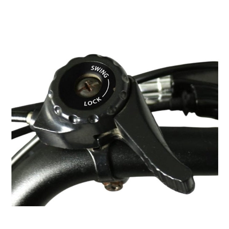 Van Rixtel Swing Compact Fold – Zwart/Bruin – 370Wh – Elektrische Driewieler - AE-trading