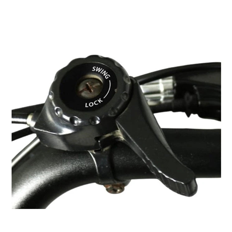 Van Rixtel Swing Compact Fold – Zwart/Bruin – 468Wh – Elektrische Driewieler - AE-trading