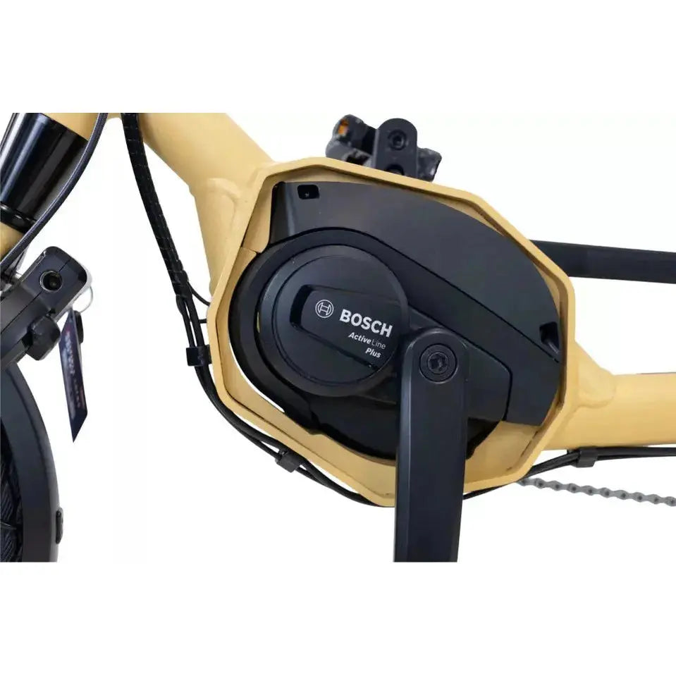 Van Rixtel Trust – Mango – 545Wh – Elektrische Driewieler - AE-trading