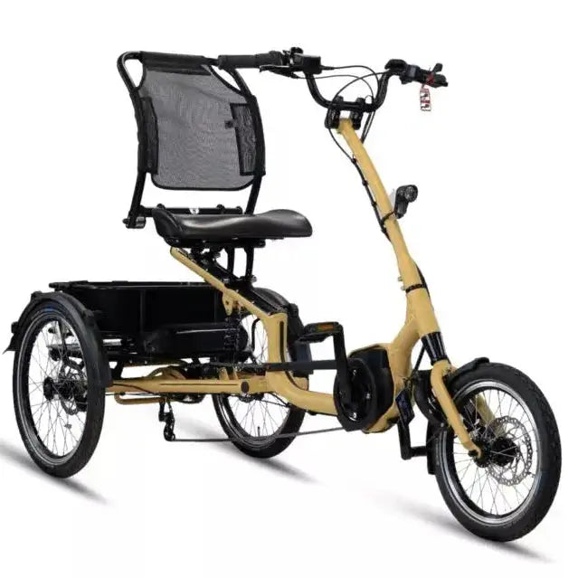 Van Rixtel Trust – Mango – 725Wh – Elektrische Driewieler - AE-trading