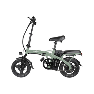 Windgoo B22 - Elektrische Fatbike-Vouwfiets - Legergroen - 14 inch - 120 kg Draagvermogen - Accu 42V (6Ah) - 250W Motor - Dubbele Schijfremmen - AE-trading