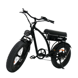 Windgoo F5 Fatbike Zwart 15Ah 250W met app